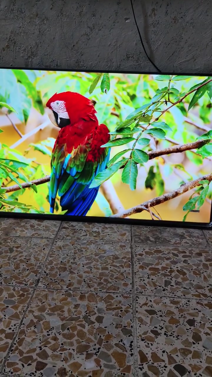 السلام عليكم شباب عندي شاشة tcl c645  حجم 50 جديدة تلهف لهف الهوة ما شامة بعدها بلزكة حتئ الزكة ما شايلها السعر ٤٠٠ مكاني بغداد وهذا رقمي ***********
