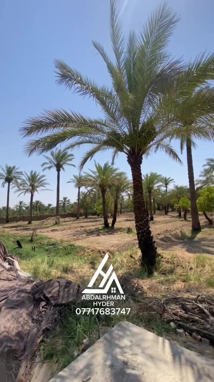 🚨🚨اعلان ..232
📌📌للبيع دونم 🌿ركن على شارعين 
(طابو زراعي سند 25)✅
الواجهة 46م 📏 النزال 54م

💰💰السعر علق بكلمة سعر 

✨كامل الخدمات 
✨موقع جداً مميز 
✨تحويل باسمك 

📍📍العنوان بغداد الراشدية قرب البحيرة منطقة المهندسين 
تفاصيل اكثر :-📞📞***********

.
.
.
.
.
.
 #عقارات #بغداد #الراشدية #العراق #بيع #شراء #عقار #في #موقع #مميز #بستان #مثمر #الفحامة #كميرة #والمناطق #المجاورة #اطراف #بغداد #الاعظمية #الكرادة #الوزيرية #زيونة #المنصور #دوانم #طابو #زراعي #صرف #سكني #مزارع #دوانم #فولو #لايك #اكسبلور #شير #هاشتاك #T #P #m #i #Y #w #Q #Z #B #N #H #k #L #s #f  #fightcoronavirus #fightagainstcoronavirus    #B

