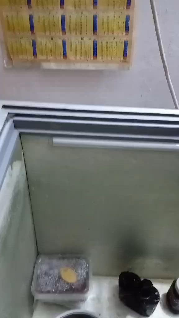 للبيع . العارظه. حجم. كبير. تبريد وتجميد. ونظيفه.. ٢٠٠ قرية ظبااب


**إذا كنت صاحب هذا الإعلان وتريد حذفه لأي سبب، رجاءا أرسل رسالة إلى الدعم الفني**