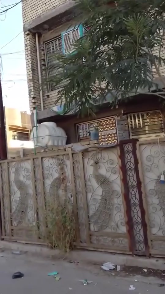 بيع بيت مساحه 100 متر ركن واجهيه 10/10 العنوان بغداد امين ثانيه قلعه لتواصل رقمي ***********
