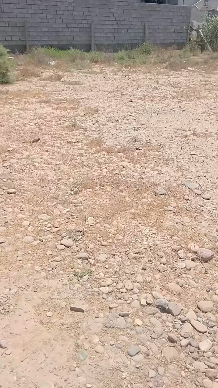 الاتصال على ***********
