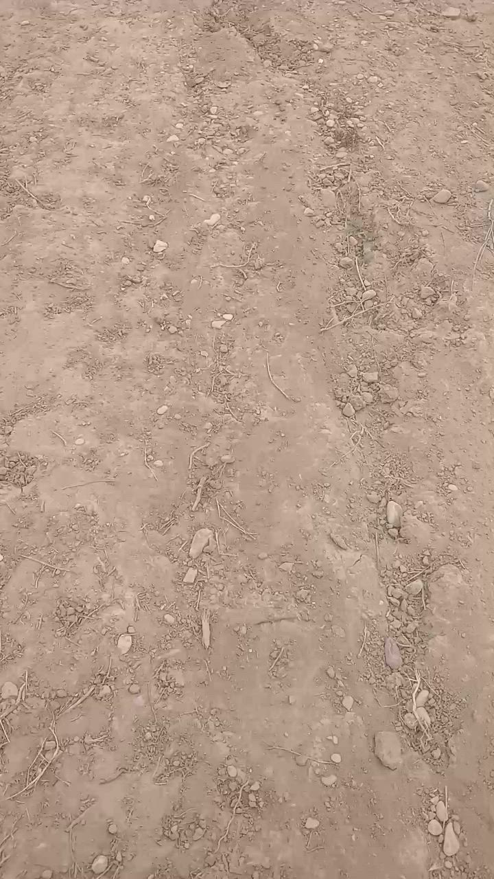 كاع شاطيه 2دونم واسط النعمانيه عقد رقم صاحب الكاع ***********
