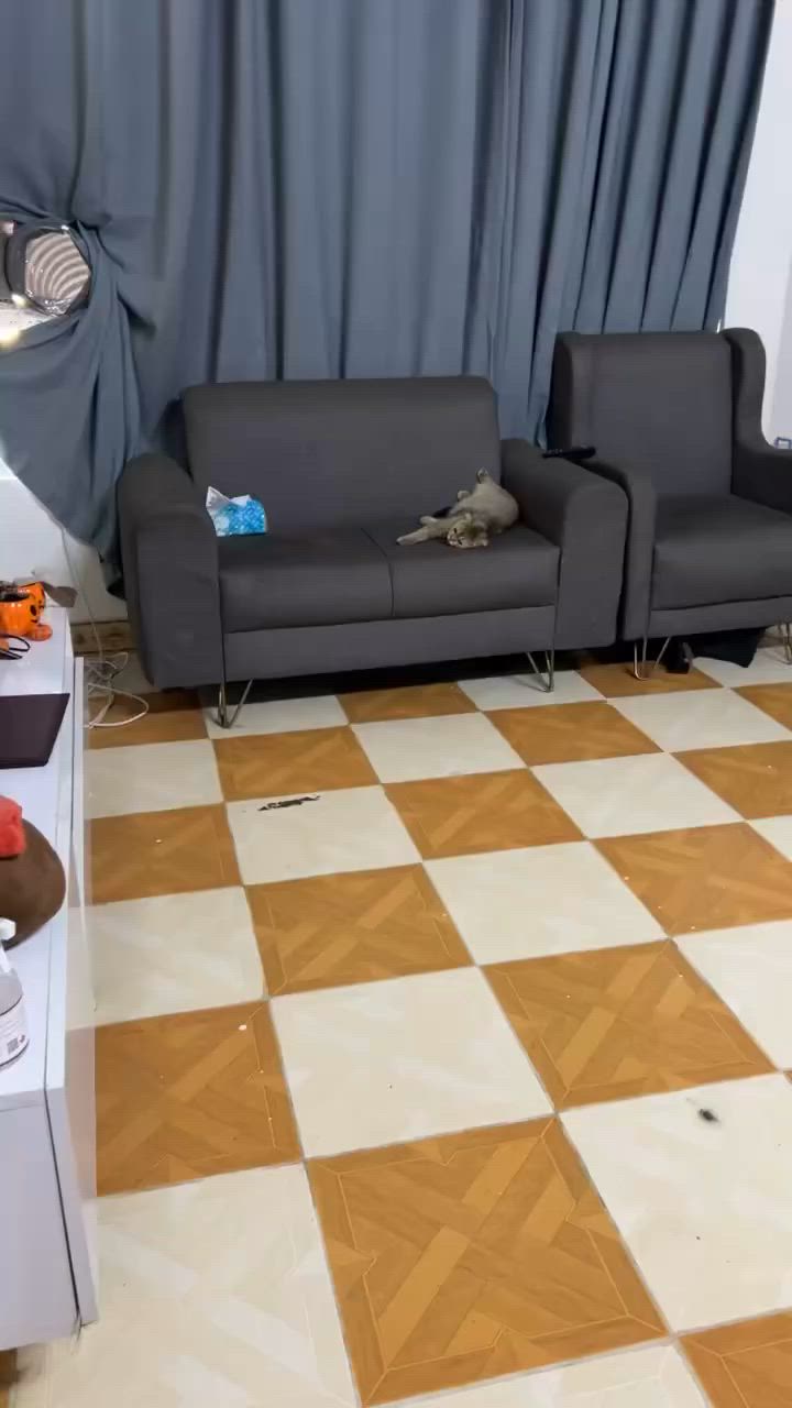للبيع تخم نضيف
سعرة ٢٥٠
وغرفه نوم ٣٠٠
مع سرير مخزن


**إذا كنت صاحب هذا الإعلان وتريد حذفه لأي سبب، رجاءا أرسل رسالة إلى الدعم الفني**