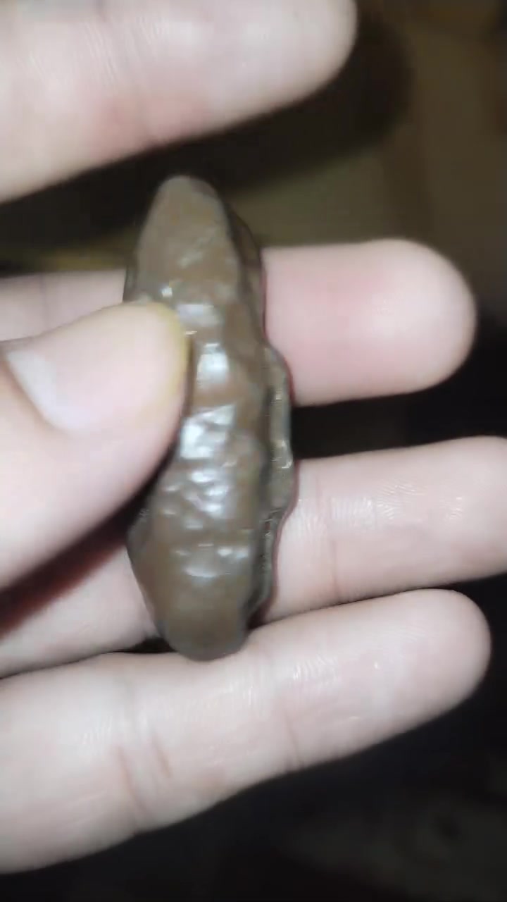 للبيع او مراوس عرق سلطاني مصور وجه كامل نوادر ***********
