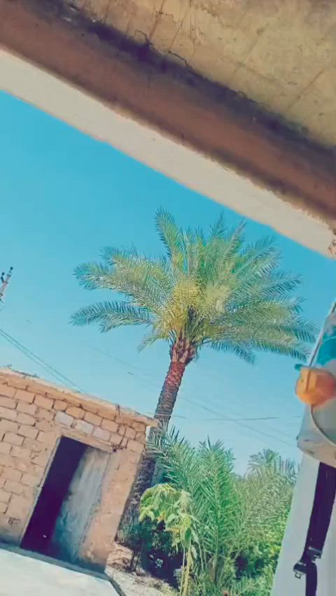 السلام عليكم موطور للبيع
سونك 4كير
موديل 2024 نضافه فول
محرك ما مفتوح بالشرط
كهربايات كلهه شقاله
نشرات مفول 
موطور شوف العين
نشاط فول كامل
موطور وضع شركه
منفيس موجود 
كامل ما ناغصو برغي
موطور احله من الصوره
سعر 625وبي مجال قليل 
مو شراي لا تتعبني ولا تكسر بالسعر
مكاني، الزاب، الصباغيه
ه‍‍ ***********
وحياكم الله
