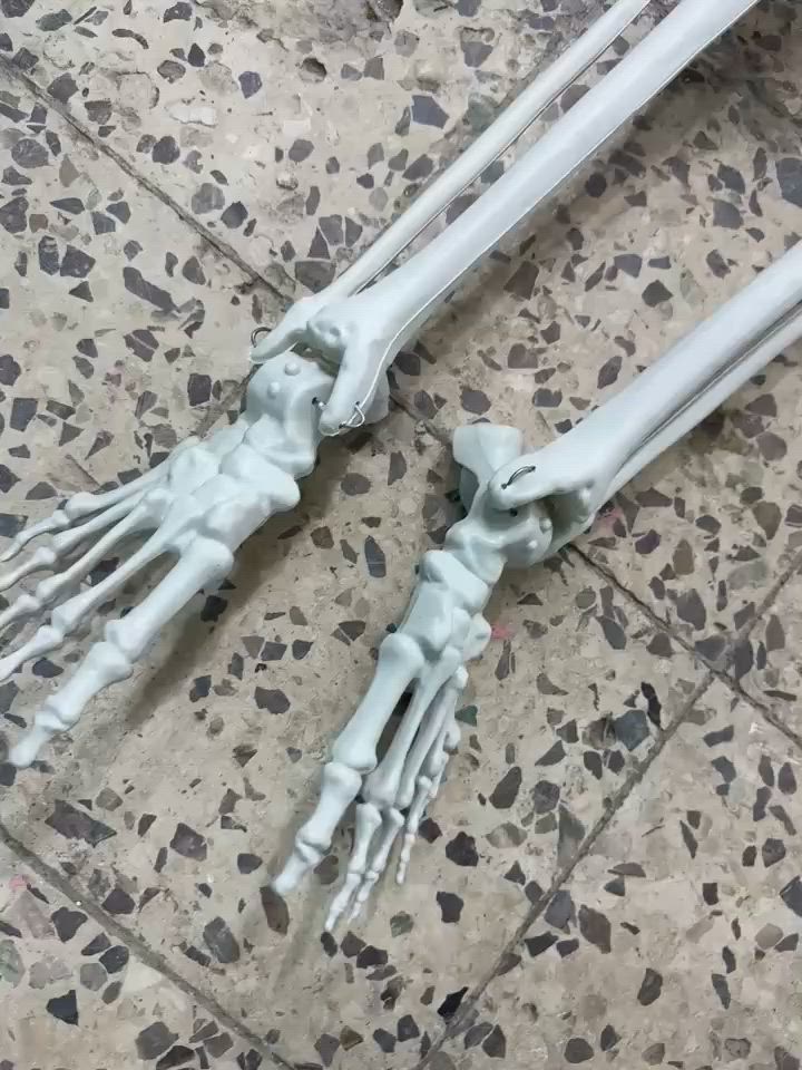 هيكل عضمي 
طول 160


**إذا كنت صاحب هذا الإعلان وتريد حذفه لأي سبب، رجاءا أرسل رسالة إلى الدعم الفني**