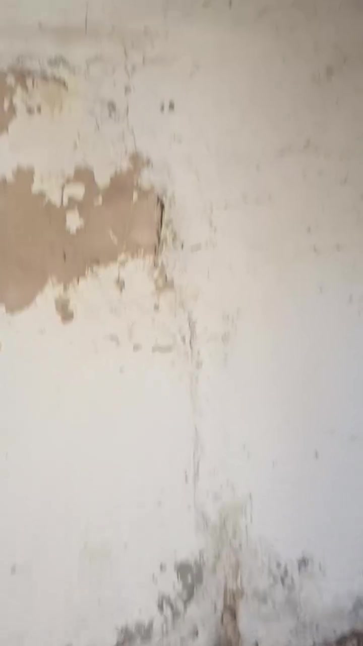 بيت بالورديه سيف سعد مساحه 75 وبمجال السعر 6 السعر  وبمجال ***********/

