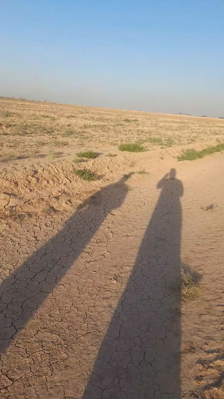 السلام عليكم ارض زراعيه للبيع مساحة ١٢ دونم عقد زراعي ١١٧ وجه عل شارع مباشر ارض تصلح سكن ومشاريع وزراعة مكان الأرض بغداد النهروان ٩نيسان قرية ابا ذر الغفاري وكلشي واضح بل فيديو *********** ***********
