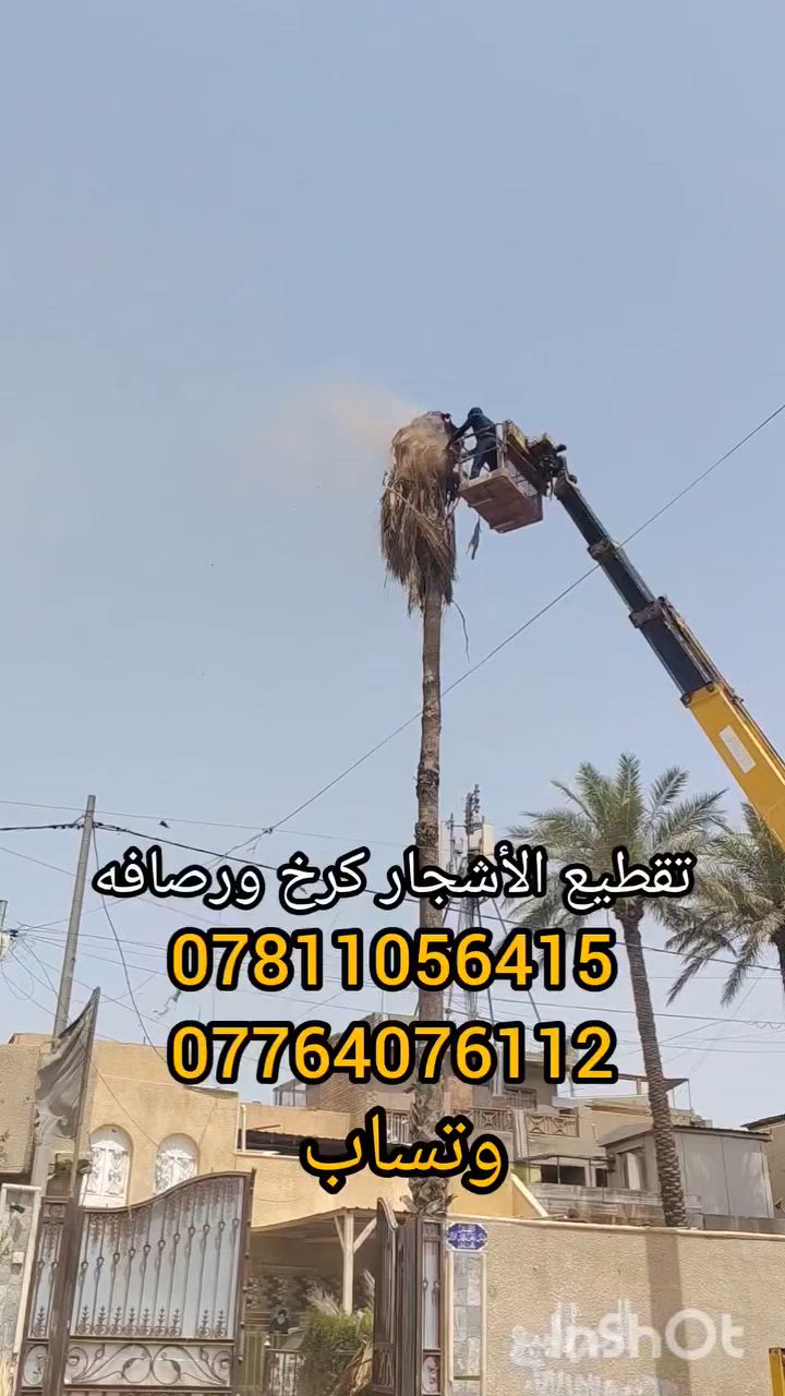 تقطيع الشجار ونخيل كرخ ورصافه للاتصال ***********. *********** وتساب
