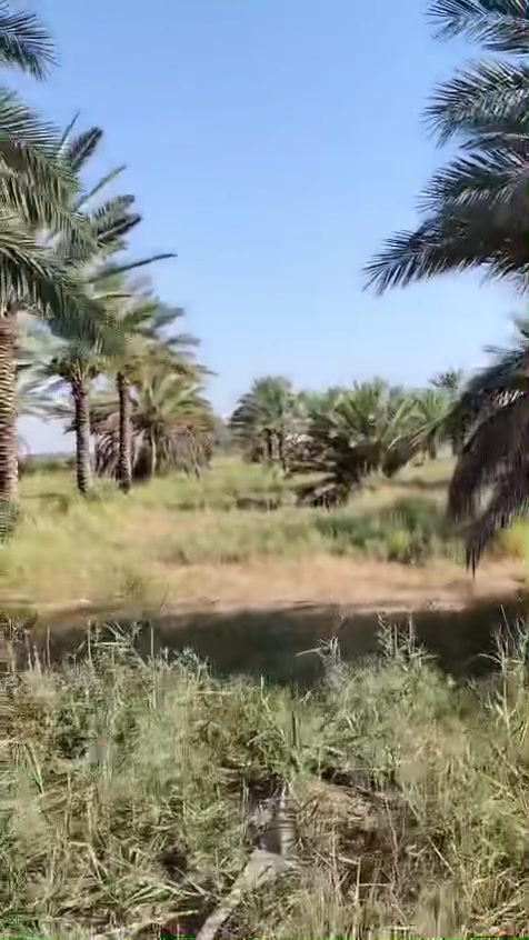 عرض مميز ‼️

السلام عليكم 8 دوانم عقد 35 مجدد الموقع بغداد الراشديه منطقه الدباغيه تبعد عن الجزيره بغداد السياحيه 10 دقايق بزايد التفاصيل الباقيه عن دوانم داخل الفيديو الاستفسار اتصل ***********
