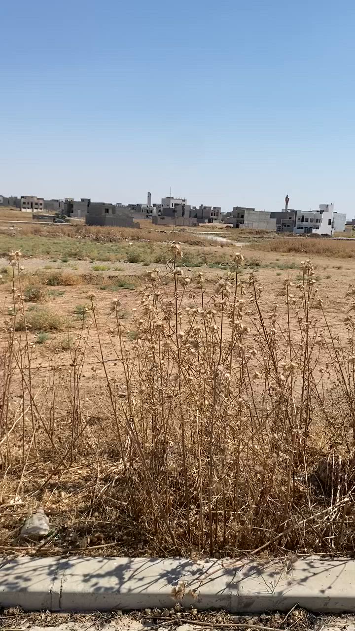 رقم الهاتف ***********
