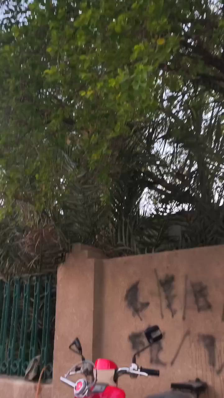 سلام عليكم دراجه بوليسي للبيع مكفوله كفاله عامه وصل معرض مامفتوحه كهربائيات كله شغاله محرك مامفتوح لاقبق تفيلس دراجه محركها ناعم كابريتر مو نوزل حالينا كفراتها احمر داخل كريمي كفراتها  البلادي موجوده بيهن 11ختم ويه المكينه مكان كربلاء السعر 900وبيها مجال ***********

