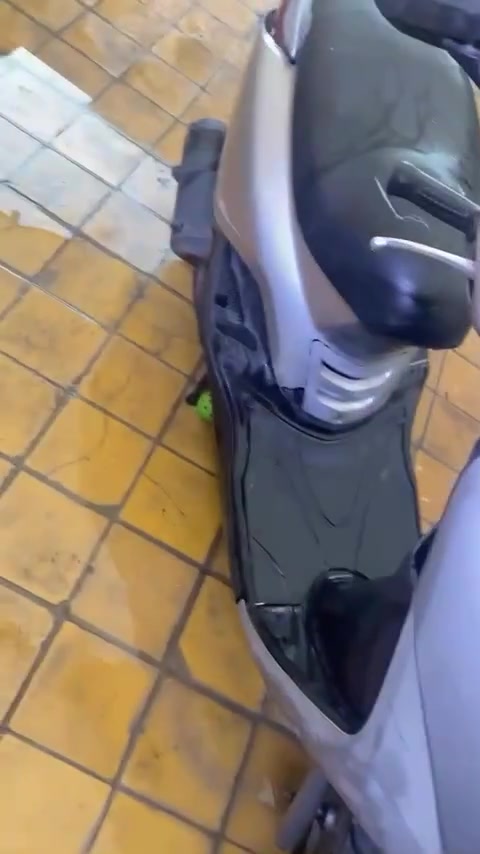 دراجه ابريز حيل نضيفه مكينه ناعم وشلعه ومعدل عوزهه بس لايت كهربايات يعني سلف شغل هندر شغل دراجه مختمه ختم واحد كلهه ولله دراجه مال رمبه وسعر 350ومكان بغداد الحسنينه ***********متوجد وتساب
