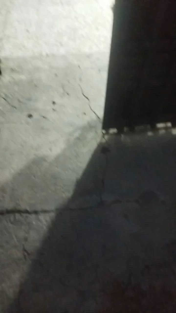 دار للبيع مساحه ٢٠٠متر خلف اسواق الكفيل  الجزائر طابو زراعي سند تحويل مباشر السعر ٨٠ مليون من يرغب بشراء ***********

