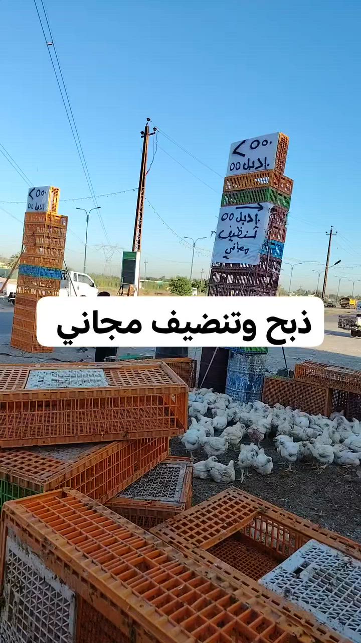 سعر كيلو سعر كيلو 2550
10 دجاجات خشن 55

 مشاركه وتعليق 
10دجاجات خشن اب ٥٥
١٠ دجاجات خشن اب ٦٠
١٠ دبل ٦٥
مستعدون لتجهيز كافه المناسبات والمطاعم باسعار مناسبة وتوجد عروض خاص للمناسبات *********** ***********
#بغداد #اليوسفية
#المحموديه_مدينتي
#لسناالوحيدون ولكننا الأفضل
