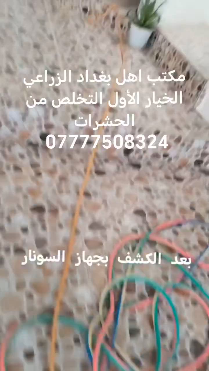 🟥 الاعتراف الرسمي بمكتب أهل بغداد الزراعي بمكافحة الحشرات والقوارض 
🔴 نهاية حقيقية لكوابيس حشره الارضه والبق والصراصير والفئران... من أول زيارة وبضمان 5 سنوات!

🐜حشره الارضه – أخطر الحشرات المنزلية! يختبئ في الجدران يسبب تشوه ومنضر مخزي، ويصعب التخلص منه
🪳 الصراصير – ناقلة للأمراض، وتنتشر بسرعة رهيبة في المطابخ والمجاري
🐁 الفئران – تسبب تلف، روائح كريهة، وتنقل أمراض خطيرة!
✅ مكافحة فورية من أول زيارة
✅ ضمان رسمي مكتوب لمدة 5سنوات
✅ مبيدات ألمانية مستوردة وآمنة 100%
✅ بدون رائحة – بدون مغادرة المكان – نتائج نهائية
🔧 وعلى يد مهندسين متخصصين بأحدث تقنيات المكافحة في العراق
🚀نجاحنا واضح في:
فيلات – شقق – فنادق – مستشفيات – حضانات – مصانع 
🐜 ونقضي أيضًا على: الثعابين – الأبراص – بق الفراش – الحشرات الطائرة والزاحفة
💬 النتائج هيه الي تتكلم!
📞 للحجز والاستفسار:
📱  ***********
  ☎️ ***********

🟥 .مكتب أهل بغدادالزراعي القضاء التام على حشره الارضه والبق والصراصير والفئران، بضمان ومتابعة حقيقية! 🟥
#حشره_الأرضه #البق | #الصراصير | #الفئران | #ضمان_5_سنين | #متابعة_مجانية | #مكافحة_فورية
