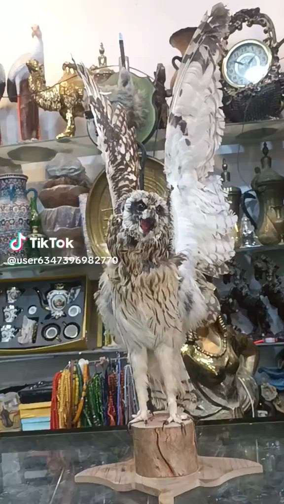 للطلب والاستفسار خاص واتساب للرد السريع *********** يوجد توصيل 
يرجى المتابعة للمزيد
