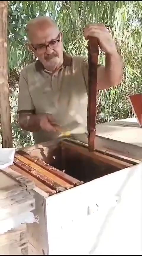 🍯 عسل طبيعي 100% مضمون
منحل جمال ابو سامر
إذا تبحث عن عسل أصلي فرز مال هذا الشهر جديد وصافي بدون أي إضافات، نوفر لك أفضل جودة وبسعر مناسب 👌

✅ عسل طبيعي 100%
✅ السعر: 15🍯صغيرة🍯25 وسط🍯35 كبيرة
✅ توصيل 
✅ ضمان جميع أنواع الفحص + فحص مختبري 🔬

📍 متوفر في:
حي الجهاد 
***********
📞 للحجز والاستفسار:

لا تفوّت الفرصة، الكمية محدودة 🔥