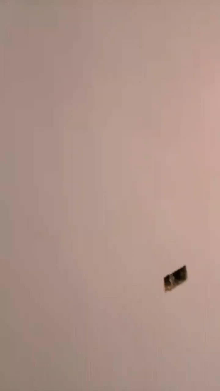 ***********
