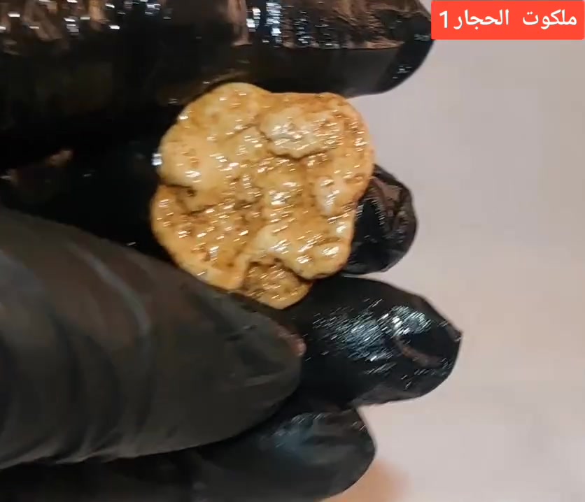 عطف بري ملاگط مصور كما هو واضح بالفديو طاقته فوووول ، للطلب او الاستفسار مراسلة الصفحة او الاتصال عبر رقم الهانف 
***********
#مجسمات_ربانية
#ملكوت_الحجار 1
