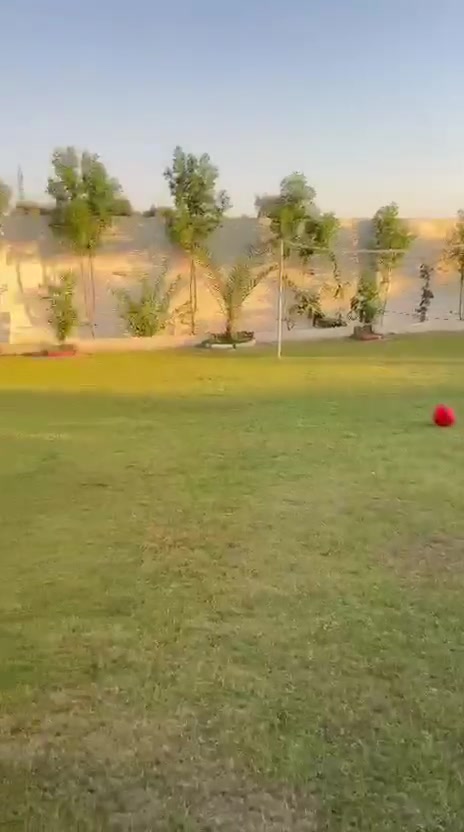 العنوان: ☀️ الجمعة الجاية وين؟ مالها غير سفرة للمدائن! 🚗💨
لا تدوخون وتقدمون وتأخرون.. أحلى وأرتب مزرعة شاطئية في سلمان باك صارت جاهزة لاستقبالكم! مكان يجمع بين هدوء الشاطئ وجمال الطبيعة بتصميم حديث ومريح.
🔹 مميزات المزرعة:
 🌊 شاطئ خاص وإطلالة ولا أروع وجلسات شاطئية مميزة.
 🏠 بناء حديث، غرف مريحة، وصالة واسعة ونظافة على أعلى مستوى.
 👨‍👩‍👧‍👦 مثالية لجمعات العوائل الكبيرة والشباب اللي يدورون ونسة ونظافة.
 🍖 أماكن مخصصة للشواء والمطبخ مجهز بالكامل.
📍 الموقع: المدائن - سلمان باك (قريبة وسهلة الوصول).
💰 الأسعار مناسبة جداً ومنافسة.
📩 احجزوا مكانكم هسة قبل ما تفوتكم الإجازة!
راسلونا على الدايركت أو واتساب: [***********]
