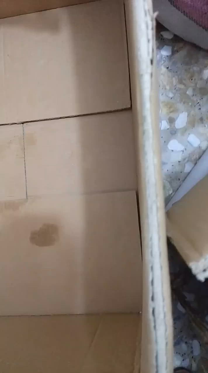 كارتون  شلعه  60  يوجد توصيل


**إذا كنت صاحب هذا الإعلان وتريد حذفه لأي سبب، رجاءا أرسل رسالة إلى الدعم الفني**