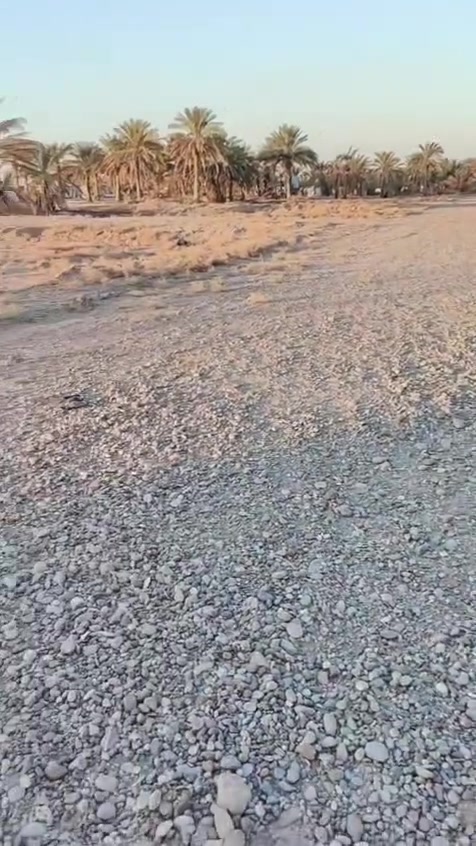 عيوني انت القطعه يم المستوصف مقابيل معمل الغاز بشارع الحشد  تمشي لك مسافه اقل دقيقه بالسياره راح يلاكنك  المجمعين واحد مقابيل الثاني مجمع صلاح الدين الاول ومجمع صلاح الدين الثاني رقم القطعه 41 باع ثاني فرع صاده عالشارع
رقمي ***********
