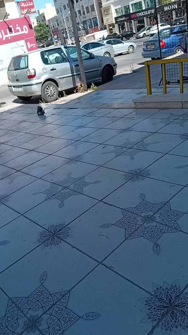 فقط ب٥


**إذا كنت صاحب هذا الإعلان وتريد حذفه لأي سبب، رجاءا أرسل رسالة إلى الدعم الفني**