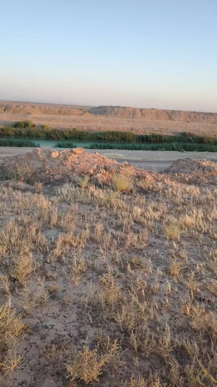 ارض زراعيه للبيع
ارض زراعيه للبيع
الموقع ذراع دجله مابين النهرين تبعيد عن تقسيم الناظم 5 كيلومتر
المساحه 150 دونم
تحتوي على ابار سطحيه ماء حلو وما يوشلن عدد 2 وغطاسات نهريه عدد 2 ومحركات عدد 2  وبيت جاهز ومحوله كهرباء
للعلم الارض جاهزة من جميع النواحي كلشي بيه جاهز ومزروع حاليا بيه مايقارب 12 دونم جت وبيه بحيرات اسماك عدد 3
تباع كلها او قسم
***********

