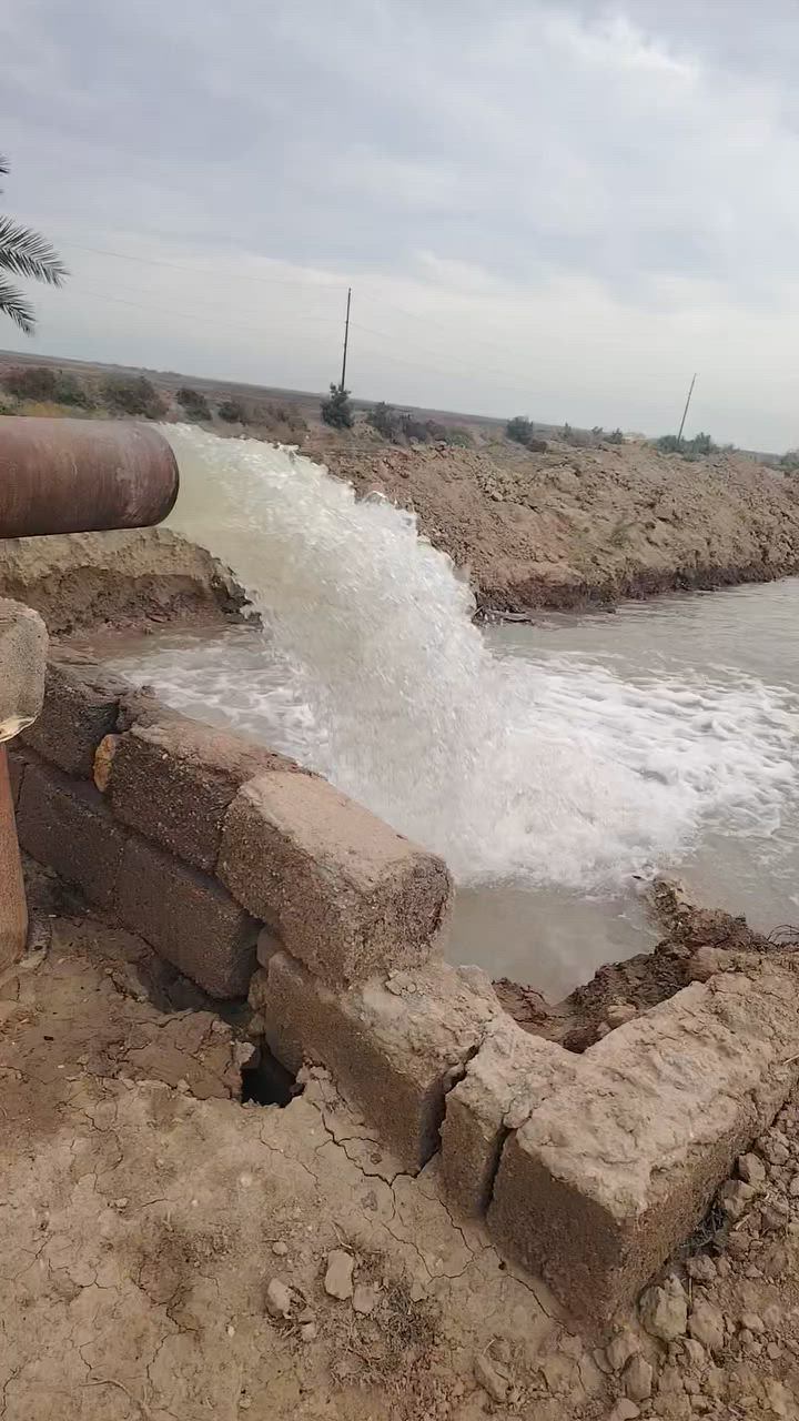 سلام عليكم خوان مكينة فيكو للبيع ثمانية بعشرة الستفسار ***********
