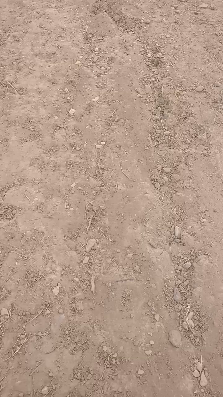 كاع شاطيه 2دونم واسط النعمانيه عقد رقم صاحب الكاع ***********
