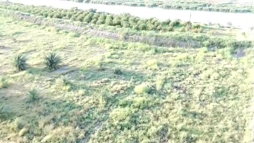 يالله
7 دونم سند 25 تحويل ثاني يوم تنطي عربون يروح يفتحلك بيان
صدور كصيبه تبعد عند مركز المدينه صويره 3 كيلو
بيه خطين مي رساله
خطين كهرباء
وجه شط
وجه شارع زوار
وجه حوالي 200 متر ادا مو اكثر  
الكاع خير خير خير من الله
للستفسار اتصال ***********

