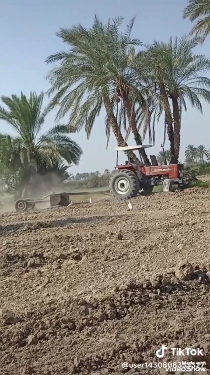 سلام عليكم للبيع مكينه حجم 8066 رقم وسنويه نجف مال جناي مكفول مكفوله كفاله عمه رقم ***********
