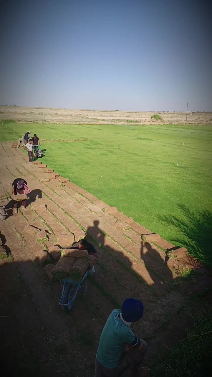 باسعار ثيل ديالى الطبيعي 🏡
أهلاً بكم في مجموعه مزارع ابو عباس الثيل  الهندي الطبيعي مزارع ديالئ 🌿🌱

 نقدم لكم افضل انوع الثيل الطبيعي عالي الجوده يتحمل كافه الضروف البيئية.🌦️🌞

دائم الخضرة🌿🌳 وباسعار تنافسيه ☘️❤️

#مستعدون لتجهيز وفرش الحدائق🏡 ودوائر الدولة🏡والمنازل🏡🏡

و تجهيز الملاعب🏟️ والمنتزهات الجودة العالية في العمل👷👷

مع خدمة التوصيل خلال24ساعه🚛🚛

الاسعار 💵💸 تختلف حسب الكمية 

للاستفسار الاتصال على : الرقم 

او التواصل مع الصفحه  او ارسال رسالة على الوتساب ‏‪ 

التصال والستفسار *********** او ***********
