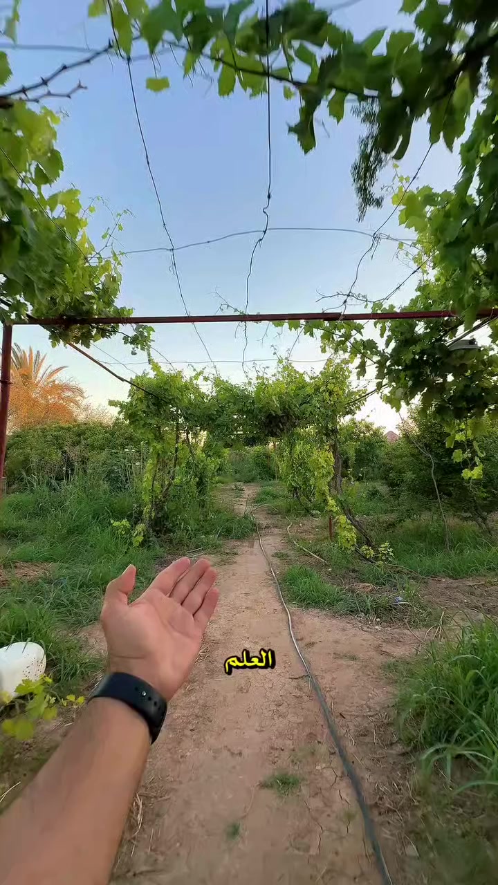 اهلا وسهلا بكم في مزرعة هيل وليل
يتوفر حجوزات في مزرعة هيل وليل
الحجوزات المتوفرة لشهر ال 7
7/25 السبت ليلي
7/26 الاحد ليلي
7/27 الاثنين نهاري +ليلي
7/28 الثلاثاء ليلي
7/29 الاربعاء نهاري +ليلي
7/30 الخميس نهاري +ليلي
8/1 السبت نهاري +ليلي
.... 
العنوان قضاء بلد 
للحجز والاستفسار الاتصال على الرقم *********** او واتساب
