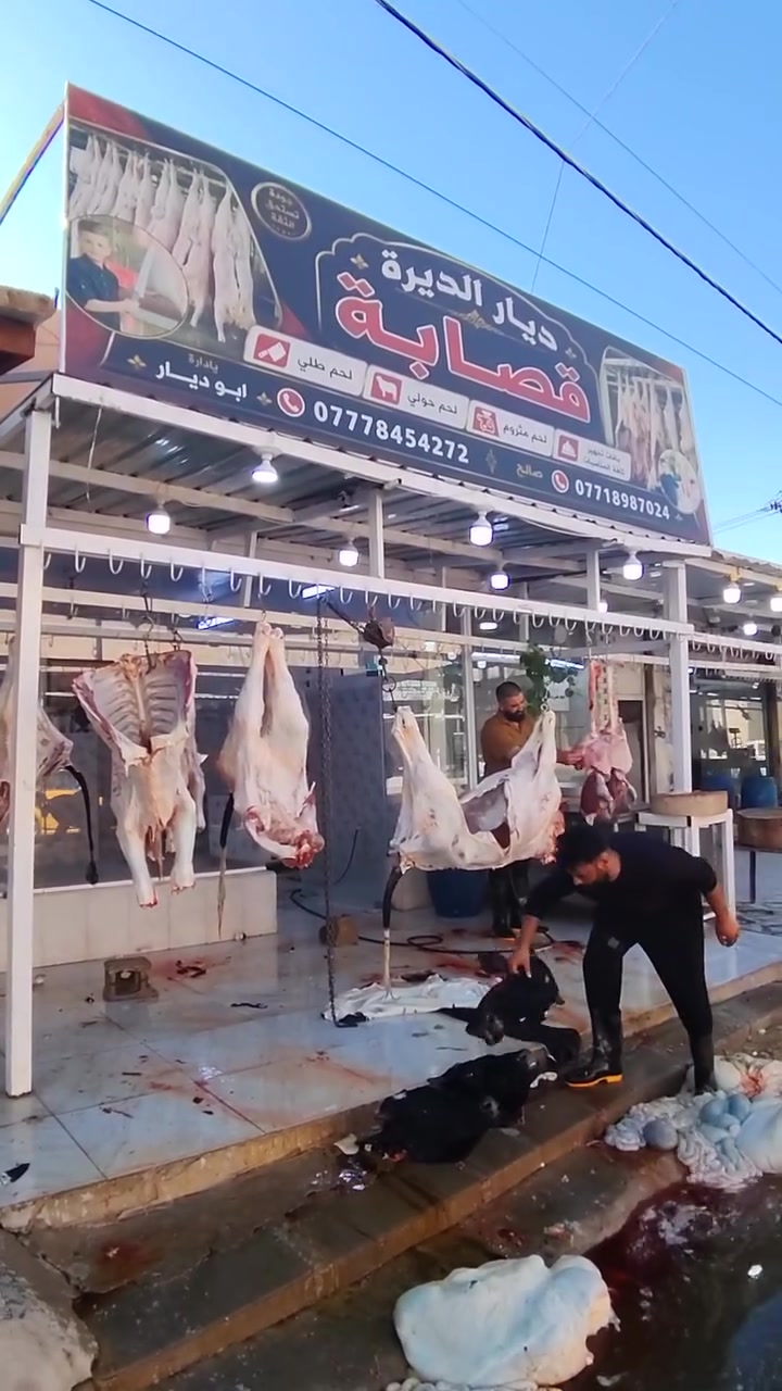 السلام عليكم لحك ع زين لحم الحولي العراقي الخالص ب 10  فقط تكريت سوق الباشا شرط مال الديرة عرض فقط يوم الخميس تريد اذبحلك كدامك ما عندي مشكلة ***********
