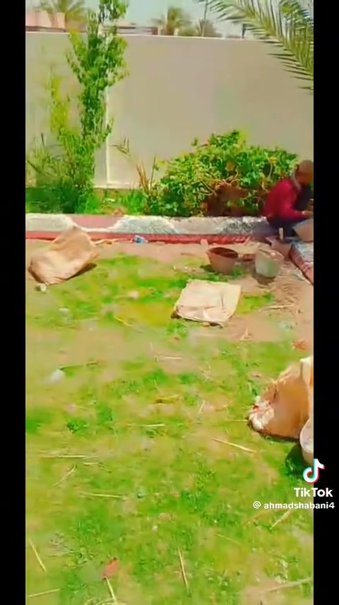 يتوفر لدينا كادر عمل كلفت أنواع ديكورات زرع حدائق نافورات تقطير ***********
