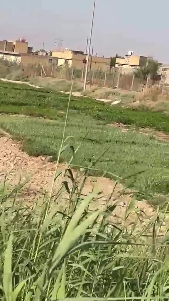 يالله اللهم اصلي عل مجمد وال محمد
دونم البيع وجه /عشرين /بغداد حي البتوال زراعي
متوفر جميع الخدمات مي كهرباء سحب  
***********
***********
