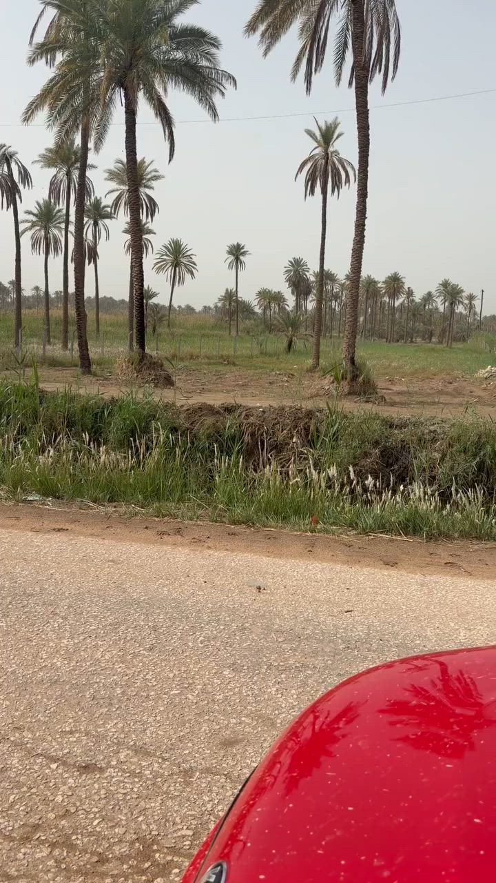 السلام عليكم 
اخوان ارض مساحه دونم ونصف 
الأرض سند ٢٥ طابو زراعي 
تحويل مباشر من اسمي إلى اسم المشتري 
مكان الارض كربلاء طويريج منطقه ابو سفن تبعد عن الامام الحسين (ع) ربع ساعه الأرض حلوه ومناسبه للتواصل *********** ايضاً متوفر واتساب
