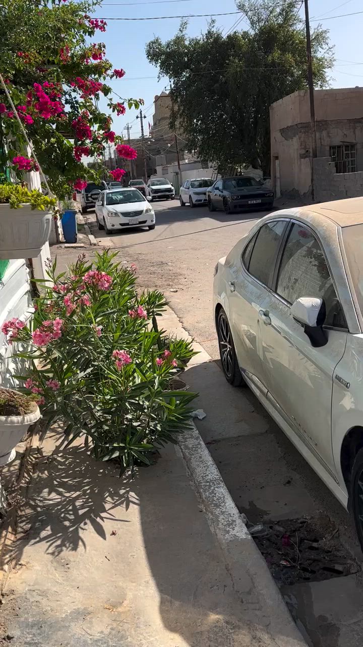 سلا عليكم شباب محل حلاقه كامل الايجار العنوان سويب بل ميتين قبل مدرسة اهل الحق ***********بي وتساب 🌹🌹
