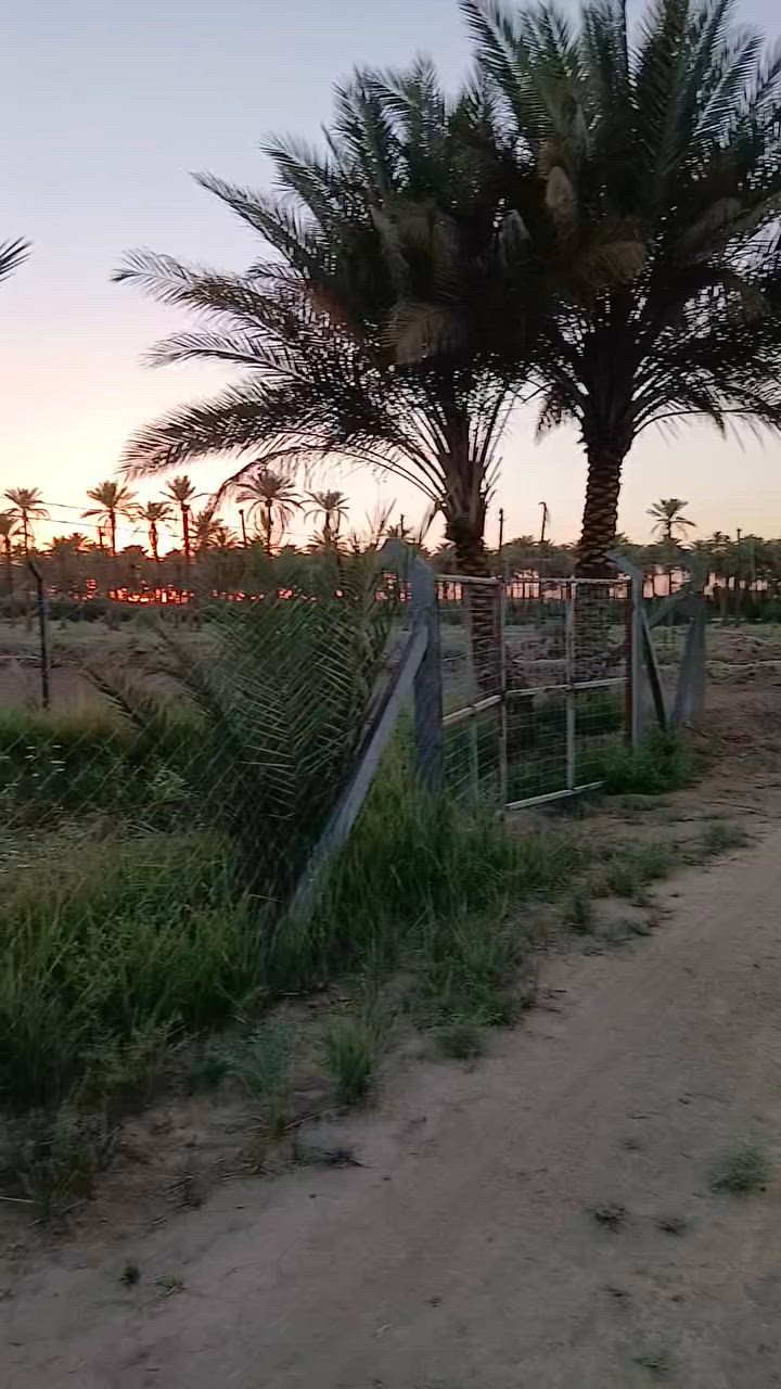 يالله سلام عليكم يتوفر لدينا راض اللبيع المساحه دوانم 50×50طابو زراعي سند 25الموقع  قرب شارع الدسميه شارع كربلاء طريق ياحسين الاستفسار مرجعة مكتب وعقارات هنا المستقبل او الاتصال ***********@
