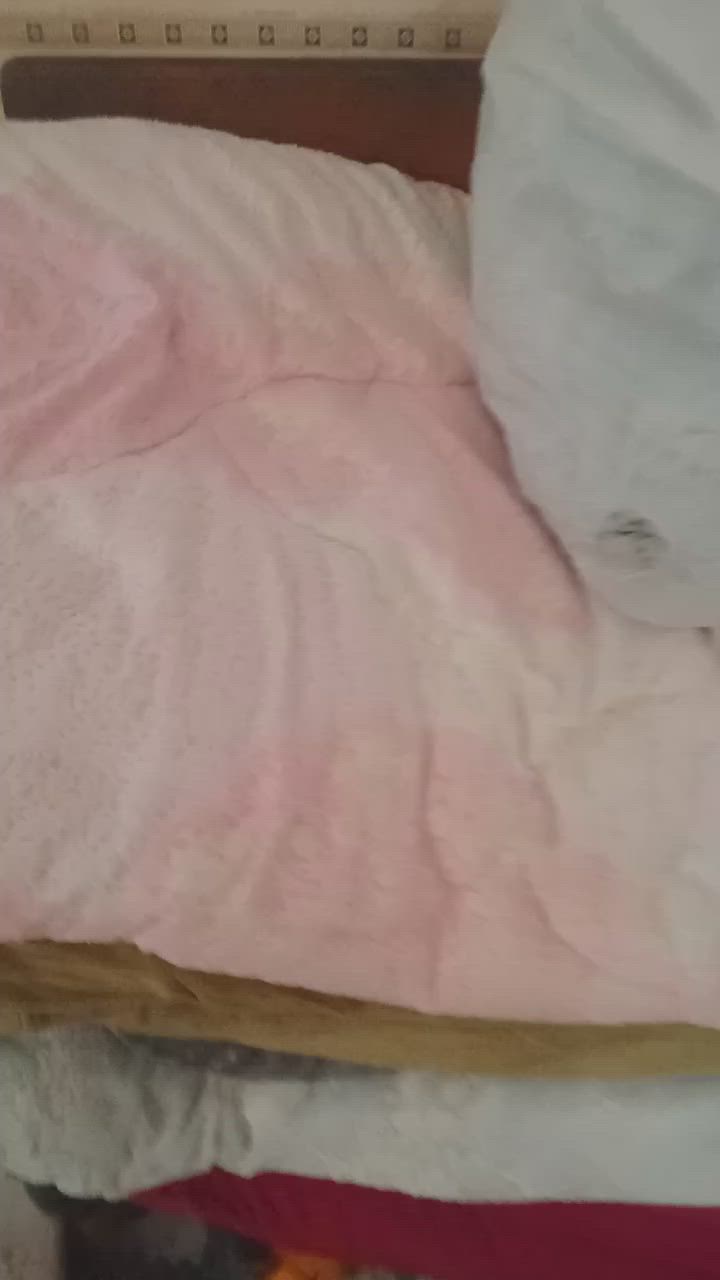 للبيع شلع سعر ع خاص


**إذا كنت صاحب هذا الإعلان وتريد حذفه لأي سبب، رجاءا أرسل رسالة إلى الدعم الفني**