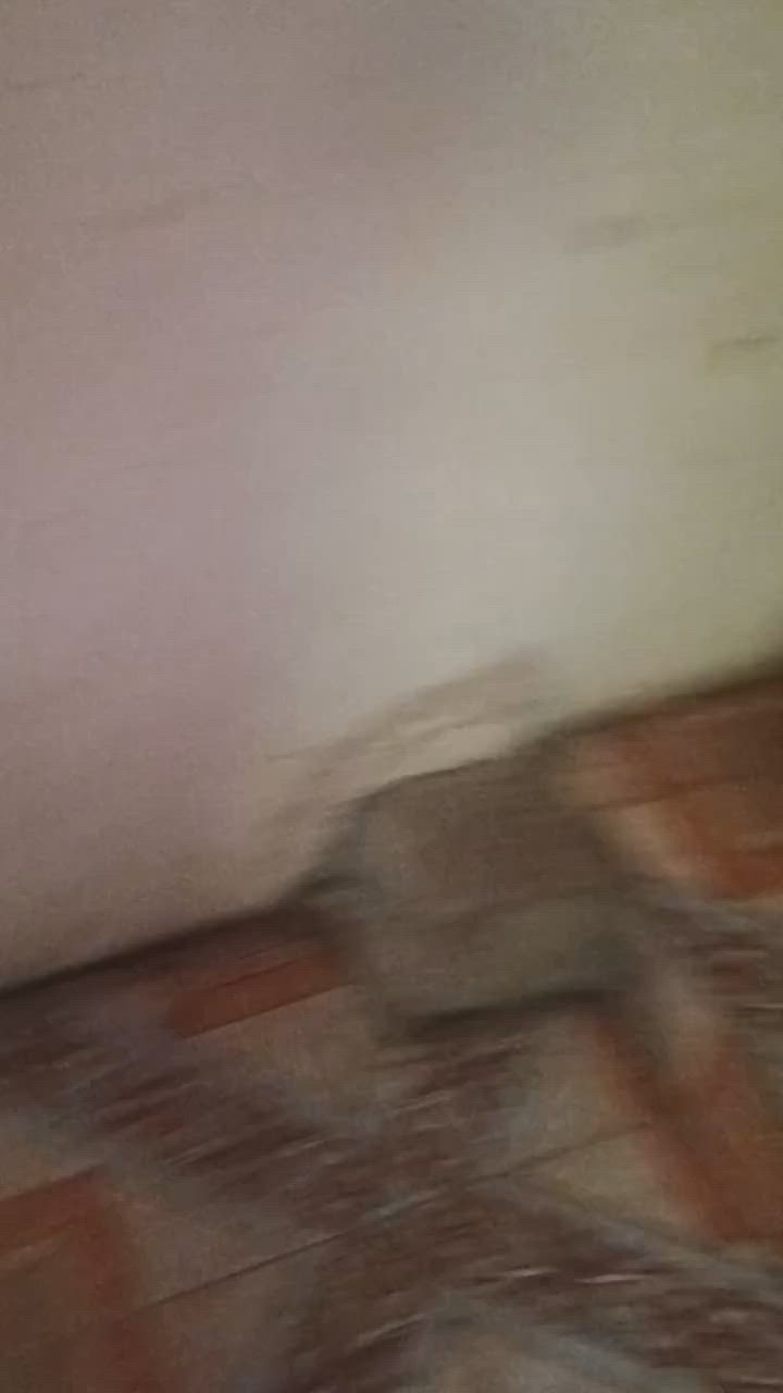 السلام عليكم ثلاجه للبيع يجمد عيبها  يجي منها صوت ما ماثر عليها بشي سعر70 بمجال


**إذا كنت صاحب هذا الإعلان وتريد حذفه لأي سبب، رجاءا أرسل رسالة إلى الدعم الفني**