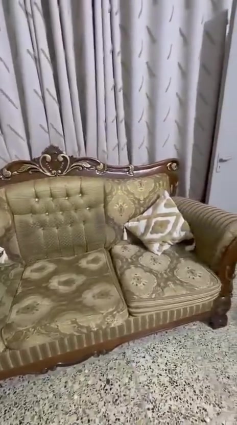تخم قنفات كامل نضيف لبيع لسعر ٢٠٠ وبي مجال ويتساب ***********
