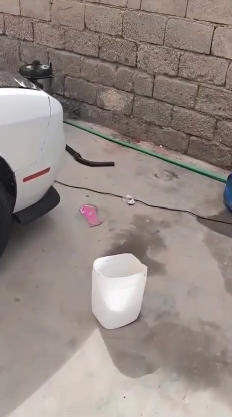 سلام وعليكم سياره جالنجر ١٥ معليه ١٦ للبيع رقم بغداد سياره حلوه ومرتبه محرك 3.6 ضربه بجم شواصي ولغود كفاله مكاني البصره الجزيره تبريد ثلج رقمي *********** اخوان مكلف بالنشر هذا رقم راعيها
