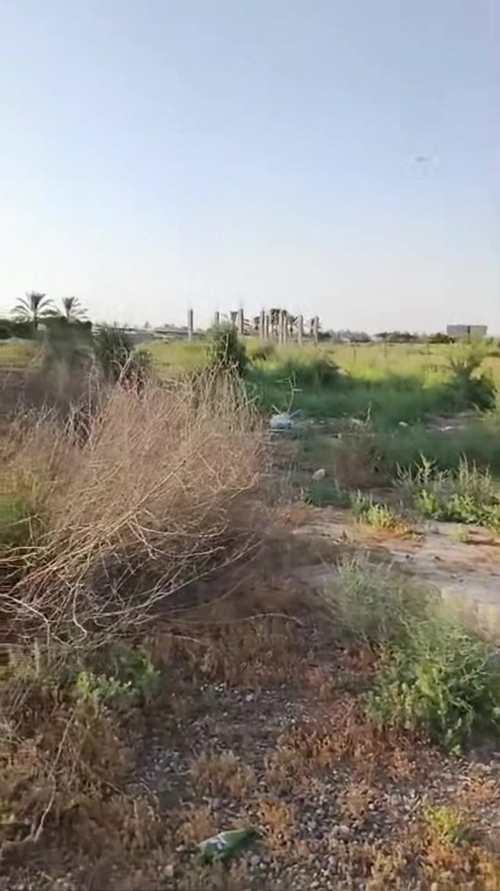 عله بركة الله جايبلكم
 قطعه ١٢٠ متر بحي الازدهار 
الواجهه ٨ونص والنزال ١٤  قطعه ركن حلوه حيل
نوع العقار سند زراعي  25 تحويل مباشر 
بأسم المشتري وسعرها كلش مناسب 
للاستفسار اكثر اتصل 
***********
