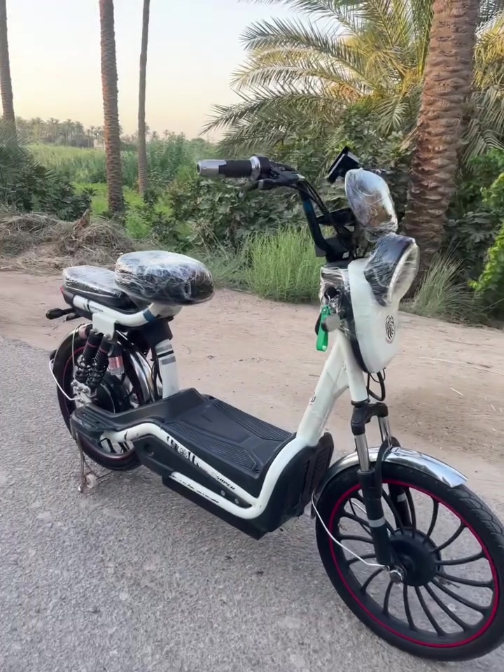 دراجه شحن للبيع المواصفات
تشغيل عن بعد بصمه+مفتاح
بطاريات عدد 6جدد 
شاحنه جديده اصلي
تايرات جدد
سرعت الدراجه 99
دراجه نضيفه ومرتبه 
الشراي يتصل على الرقم التالي 
*********** 
يوجد فيها 4 نمر 
فيها منفذ شحن للموبايل ايضاً

