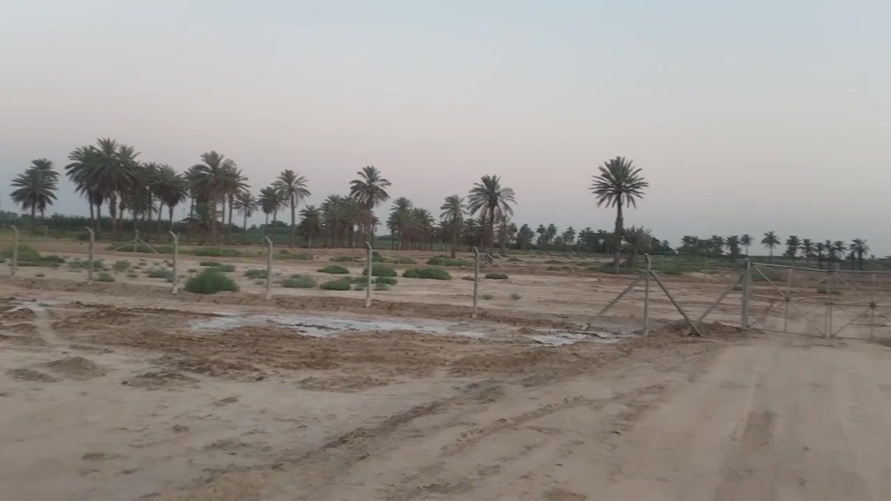 السلام عليكم
للبيع بستان المساحه ٢٠ دونم طابو زراعي سند ٢٥ تحويل بل اسم المشتري كوت طريق بغداد قرب السيطره الجديده
***********
***********
