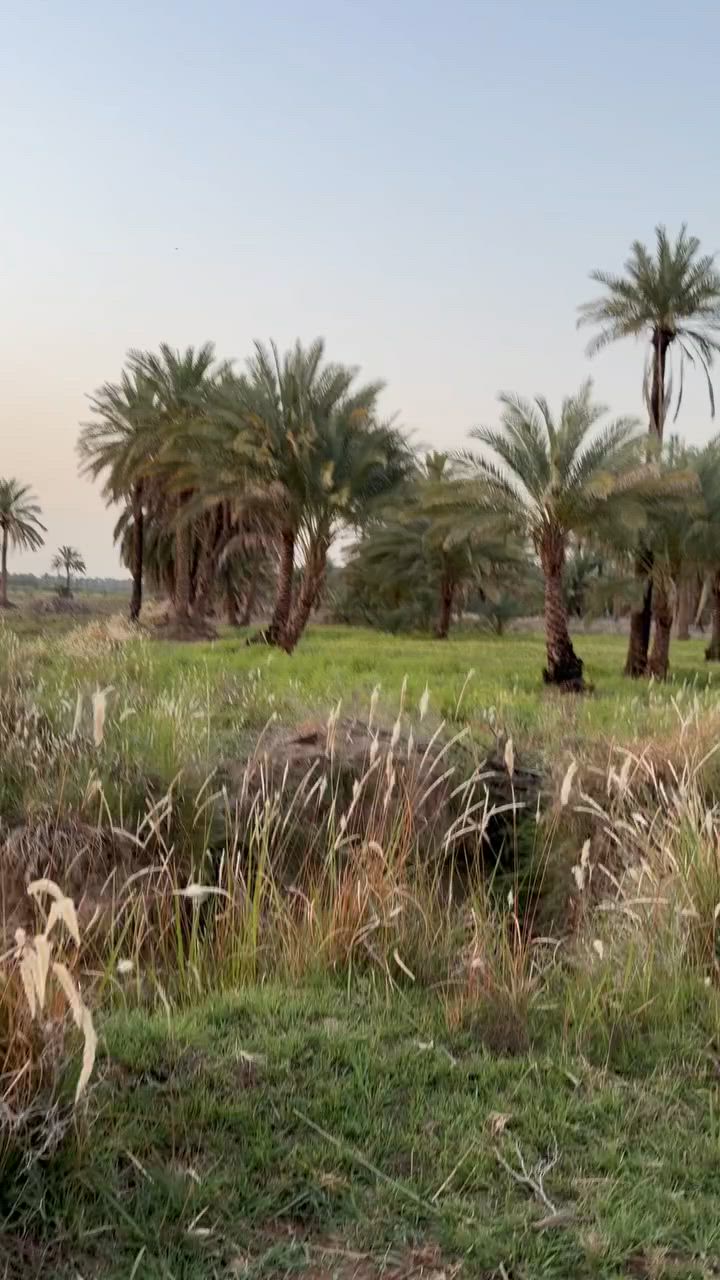 دونم و١٠٠متر لبيع كربلاء طوريج الخيرات تبعد عن التبليط ١٥٠متر خدمات كهرباء طوارئ واصل تحويل ثاني يوم باسمي سند ٢٥زراعي 
لتواصل مرسله الصفحه أو الاتصال على الرقم ***********
