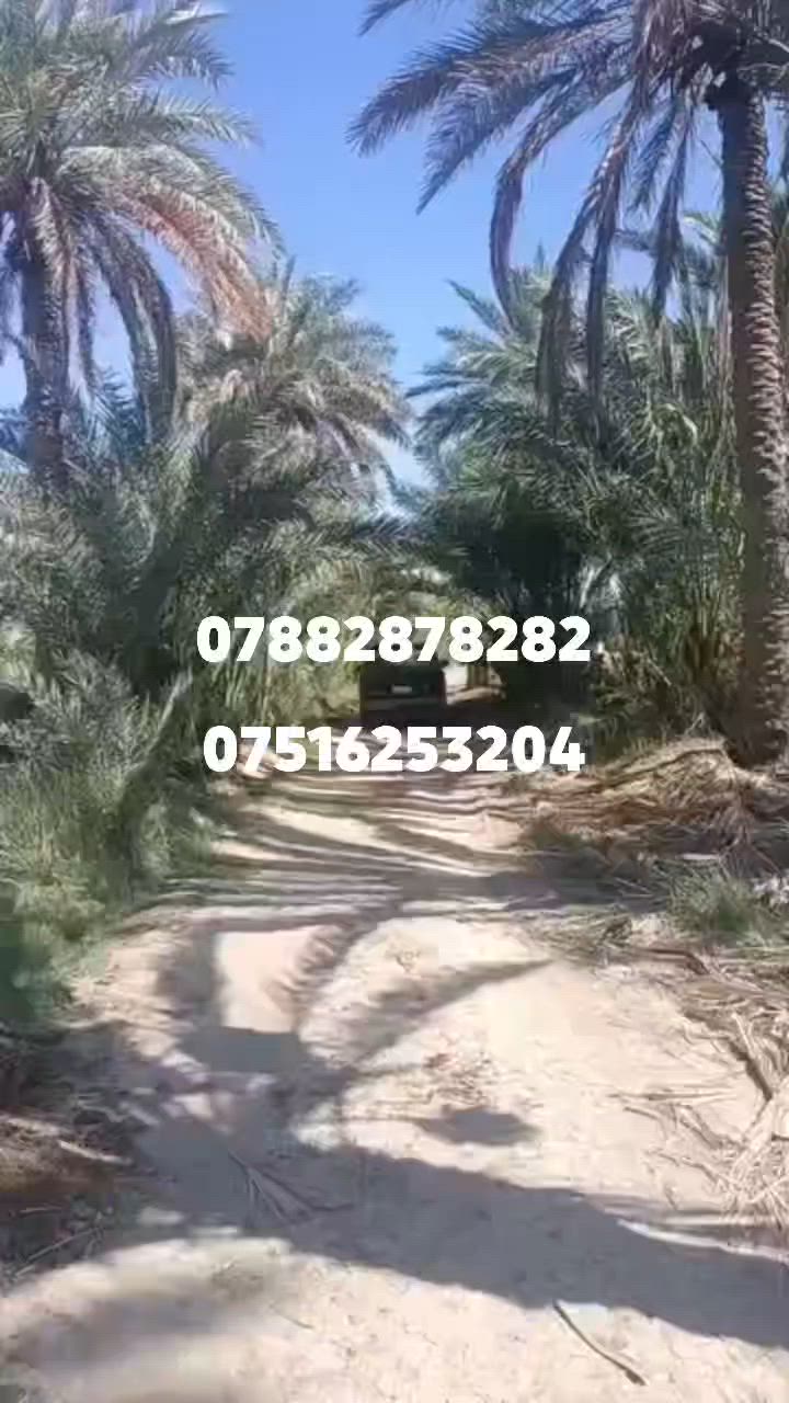 السلام عليكم ارض للبيع 7دونم ملك صرف مكان الارض يم مطار بغداد كلش حلوه شوفت العين سعر الدونم 135شراي اتصل ‏‪***********‬‏

